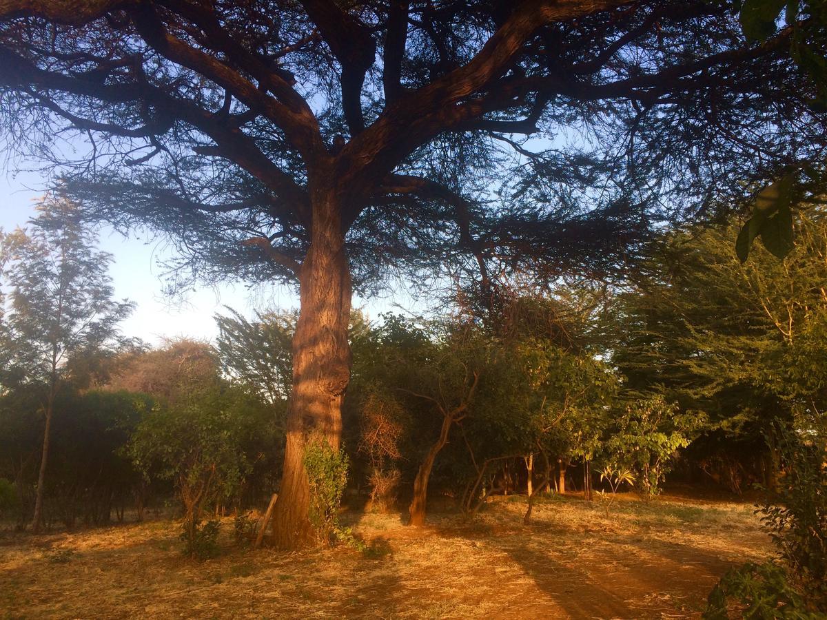 Villa Amboseli Eco Camp Exterior foto
